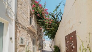 Un estrecho callejón con edificios de piedra, una puerta con un número y plantas en macetas.