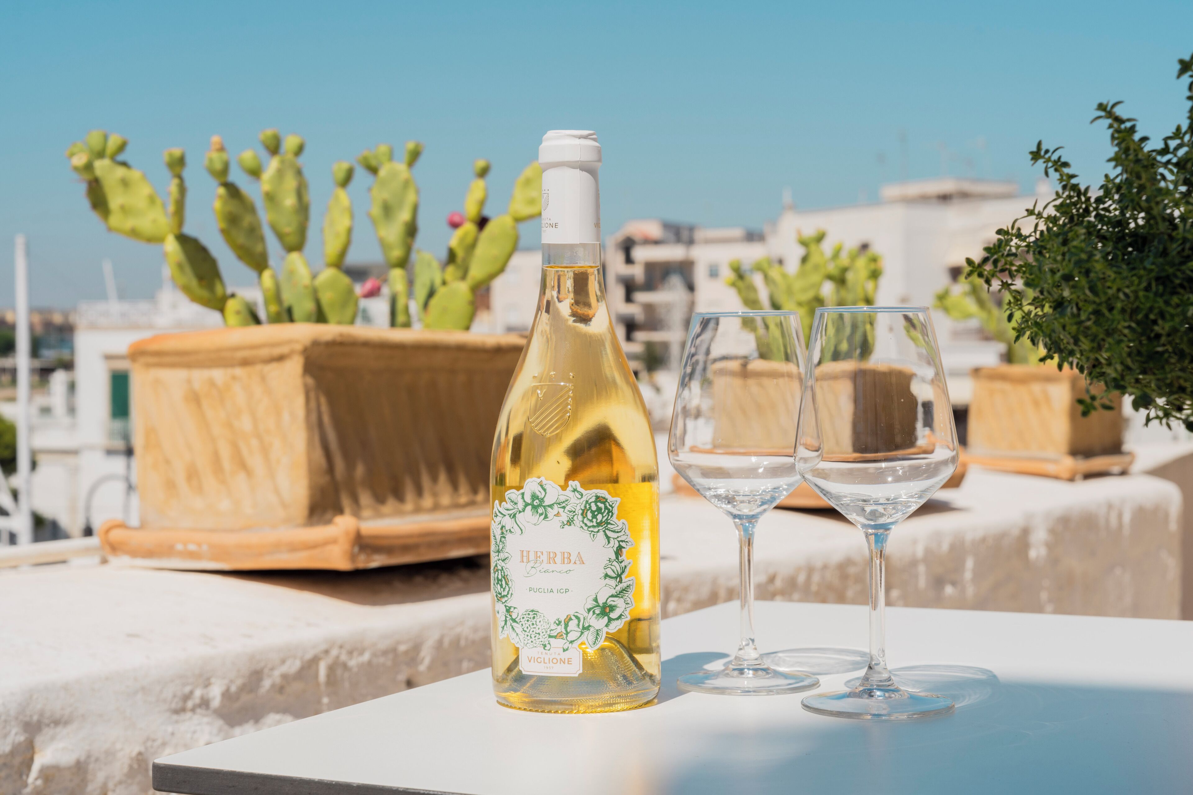 Una botella de vino blanco y dos copas sobre una mesa, con un cactus y una jardinera de madera al fondo.