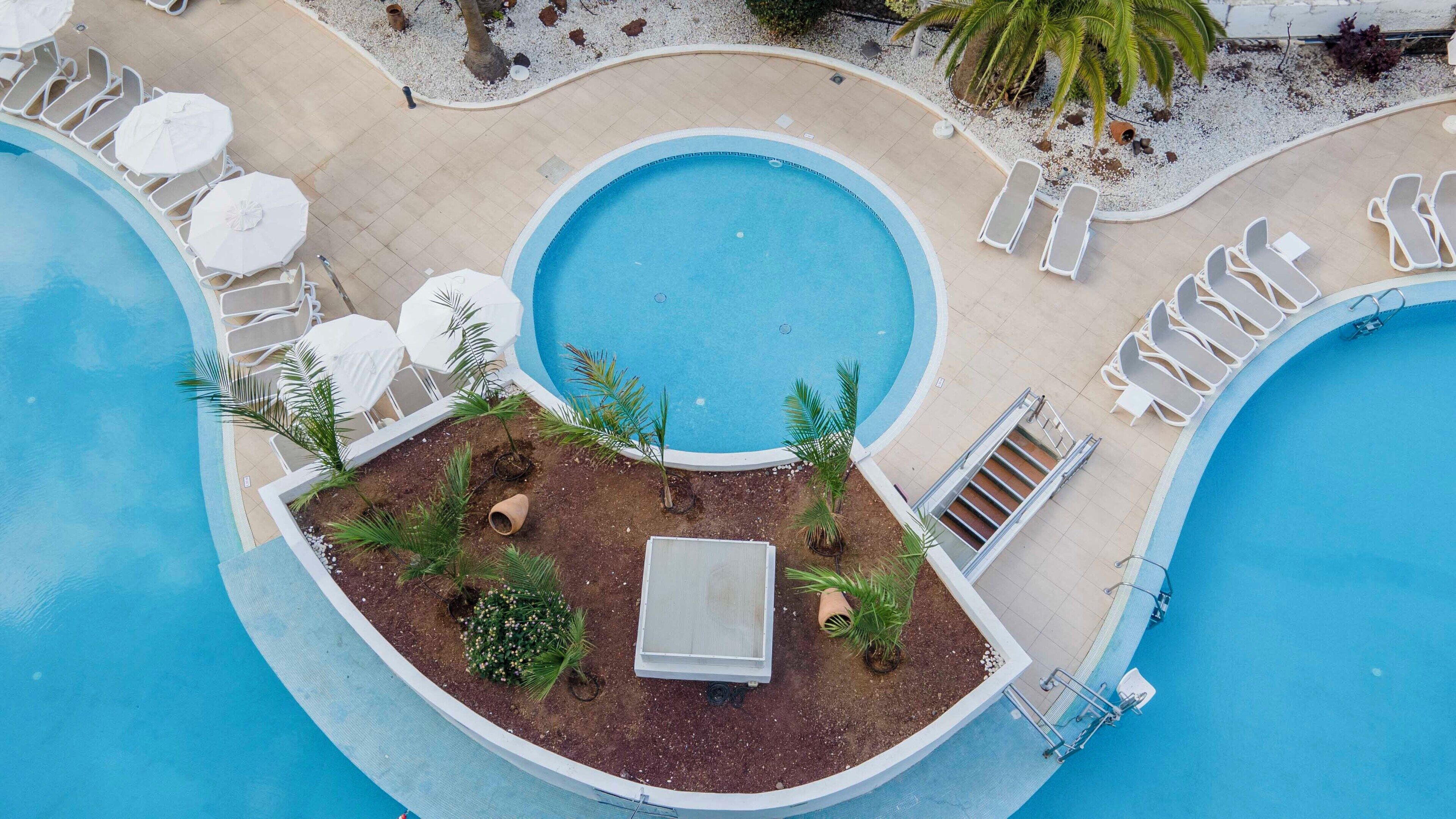 Una piscina grande con múltiples tumbonas y sombrillas, rodeada de palmeras y un pequeño jardín.