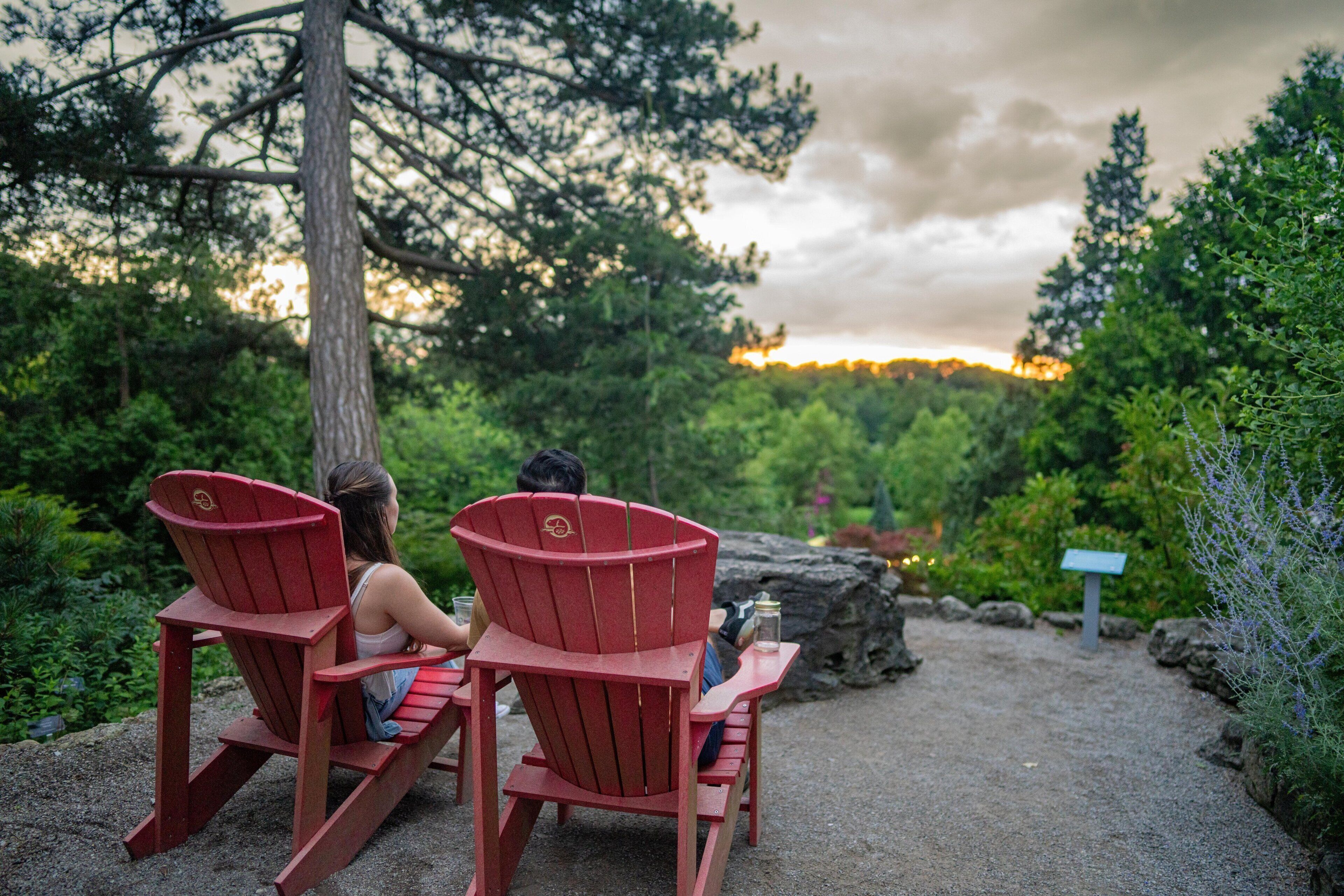 Photo - Staybridge Suites Hamilton - Downtown by IHG