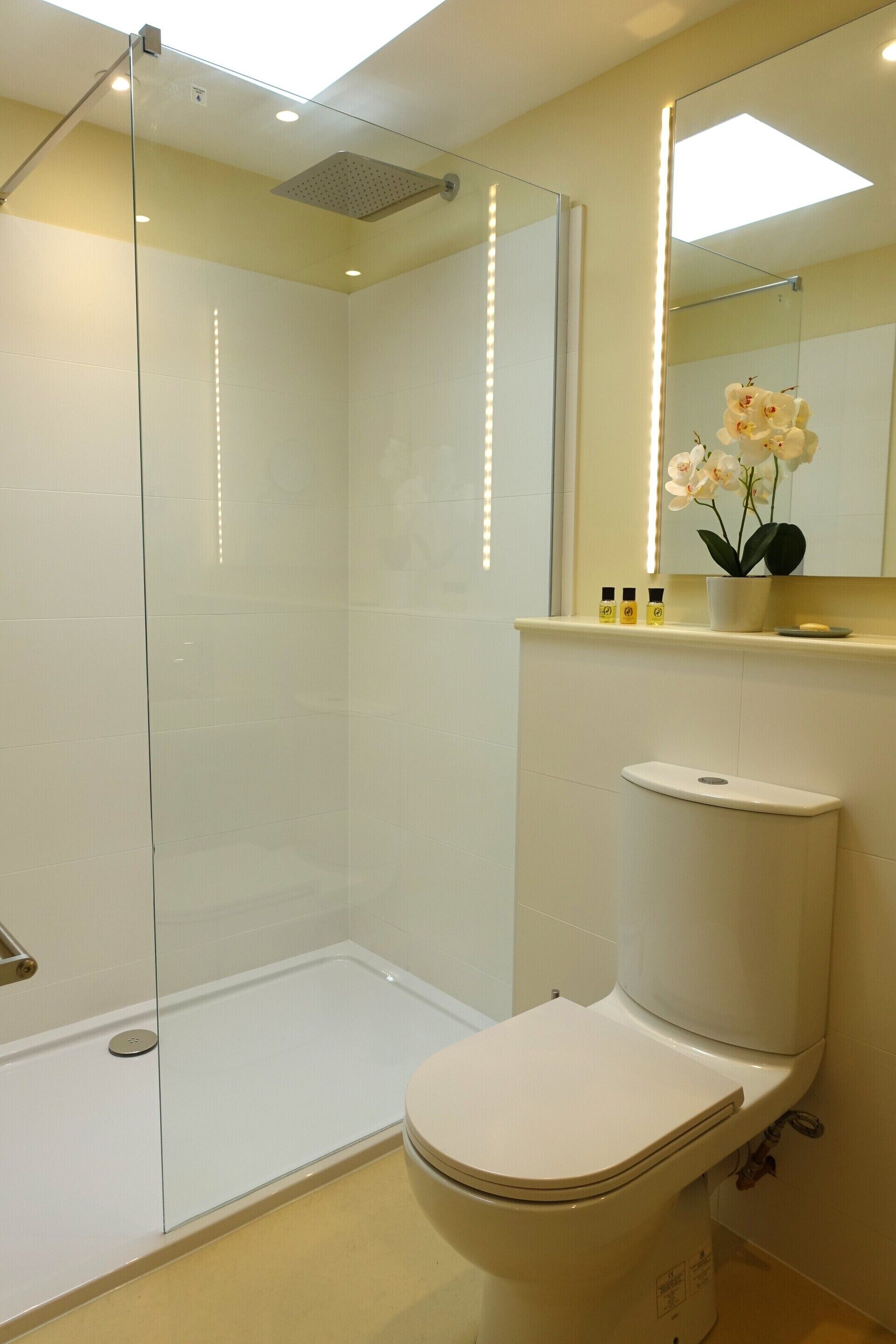 A modern bathroom with a glass-enclosed shower, a toilet, and a sink with a mirror above.