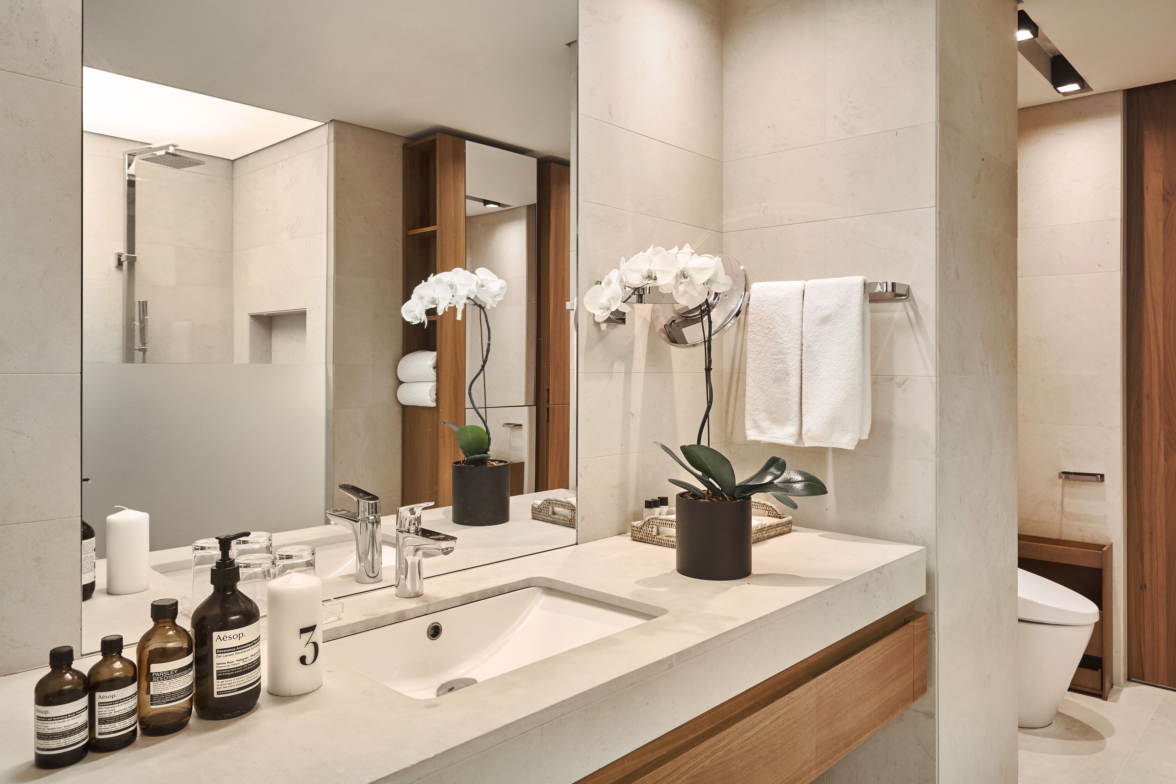 Un baño moderno con un espejo grande, un lavamanos y un inodoro. Hay plantas en macetas y artículos de aseo en la encimera.