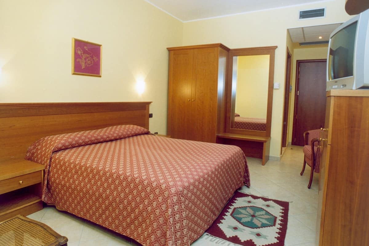 A bedroom with a wooden bed, a wardrobe, a mirror, a television, and a patterned rug.