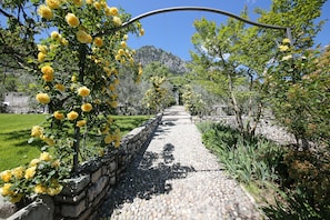 Jardín