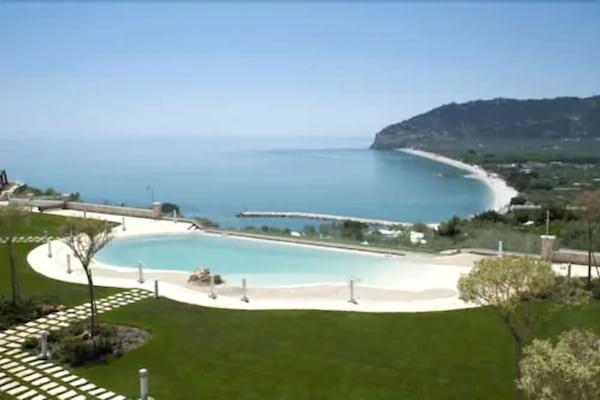 Outdoor pool, sun loungers