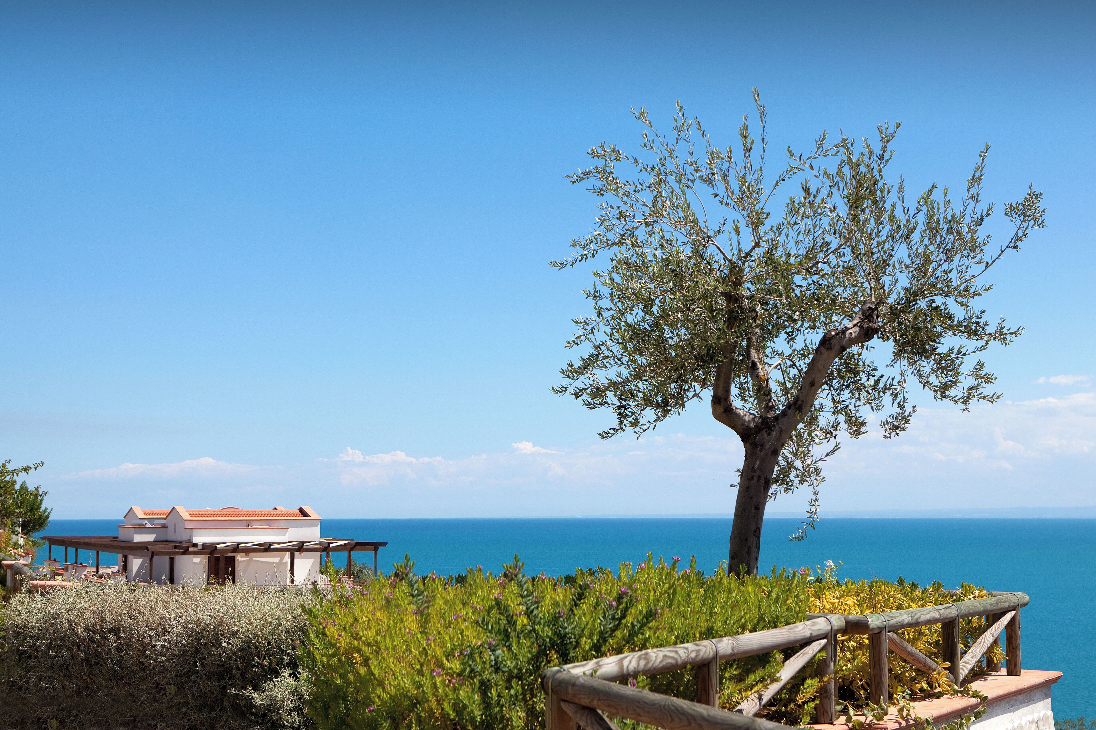 Une propriété située sur la côte, dotée d’une terrasse en bois, d’un grand arbre et offrant une vue sur la mer.