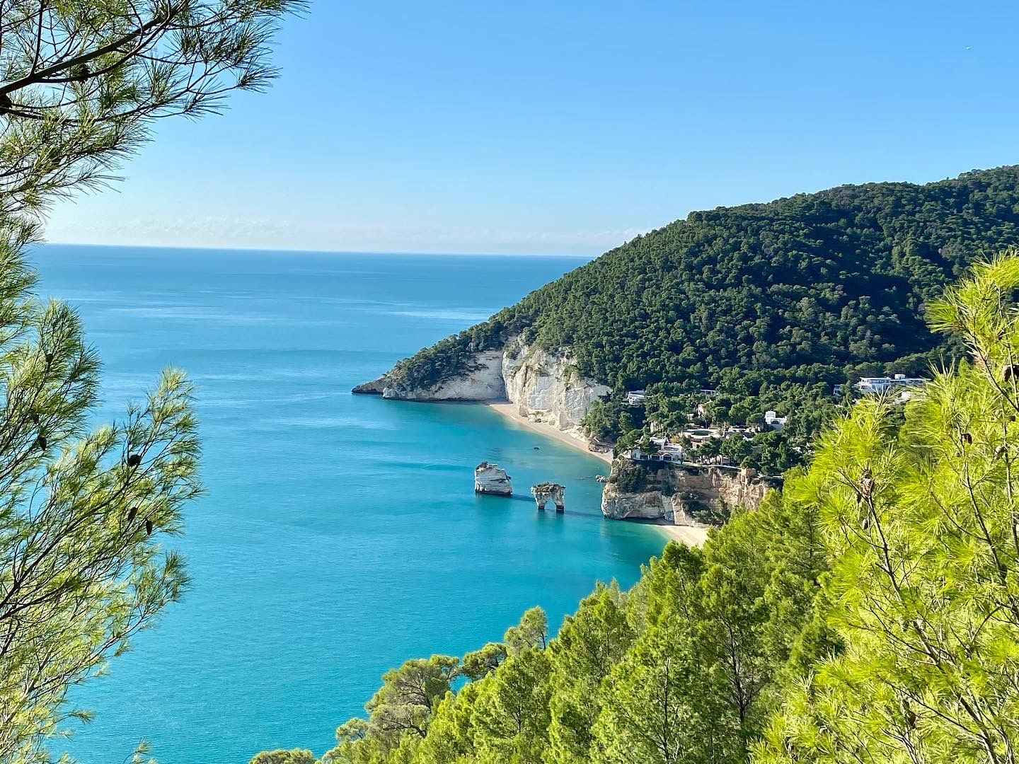 A coastal landscape with a clear view of the sea, a sandy beach, and a forested hill.