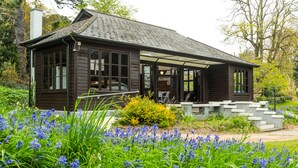 A wooden cabin with a porch, surrounded by a garden with blue flowers. - The Cliffden Hotel (Teignmouth)