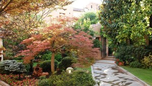 Un jardín con diversas plantas y un sendero de piedra.