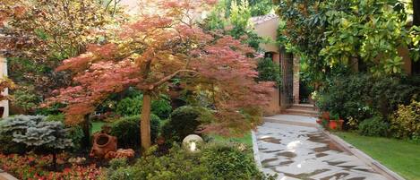 A garden with various plants and a stone pathway.