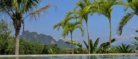 Una piscina al aire libre, sombrillas, tumbonas