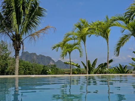 Una piscina al aire libre, sombrillas, sillones reclinables de piscina