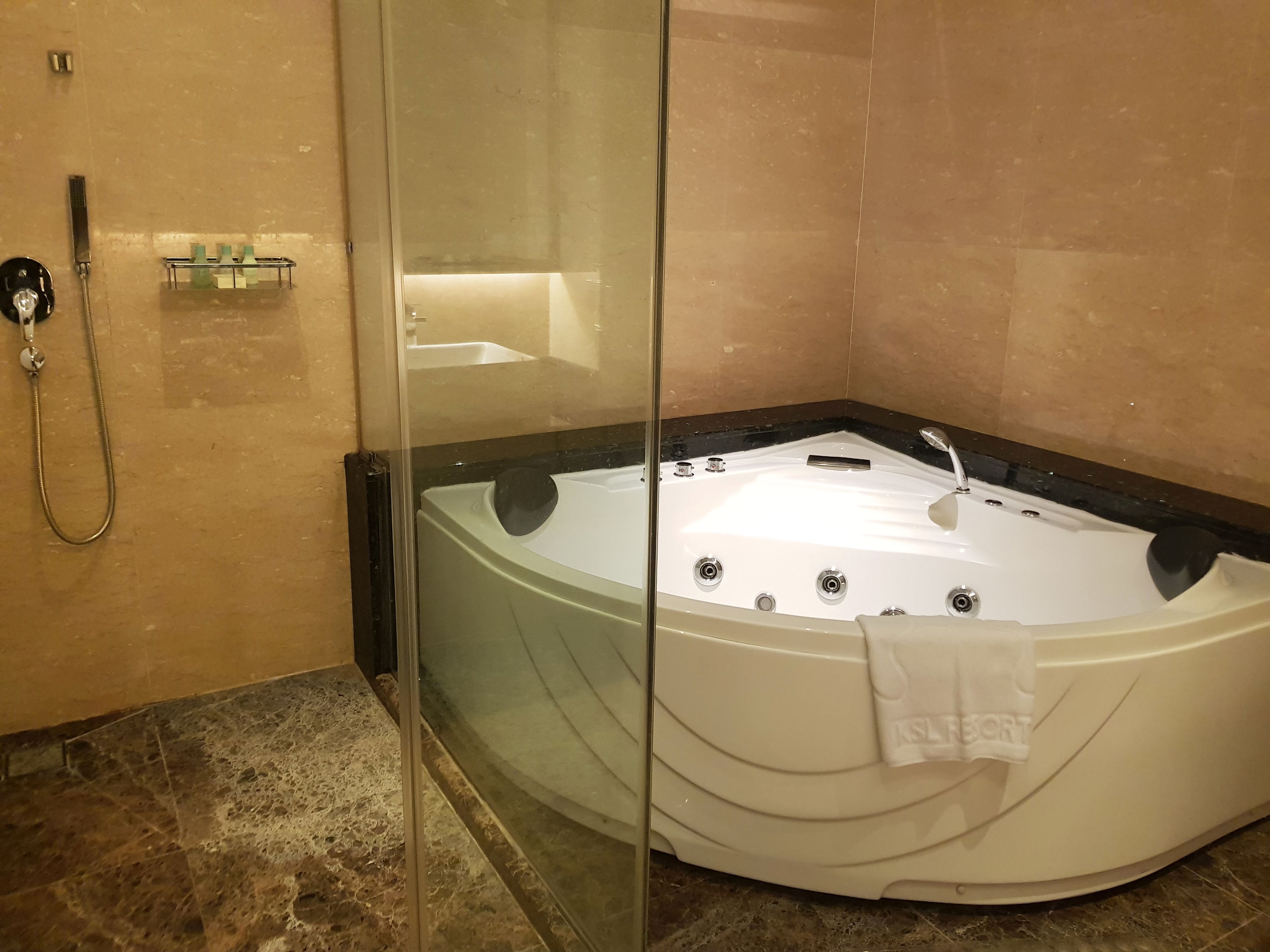 A modern bathroom with a glass-enclosed jacuzzi, a handheld showerhead, and a small shelf with toiletries.