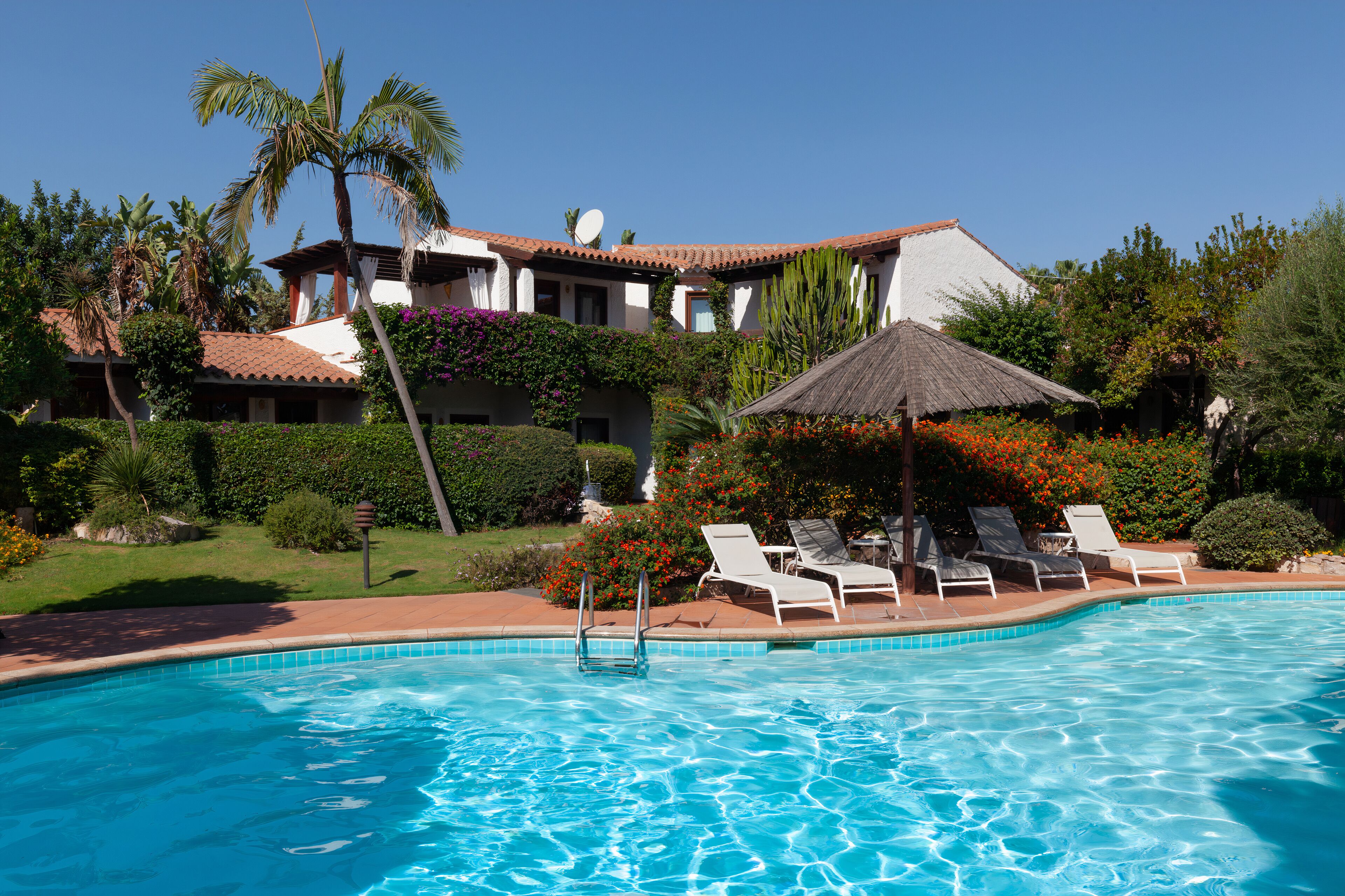 Una piscina con sillones de descanso y una palmera.