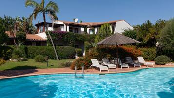 Una piscina con sillones de descanso y una palmera.