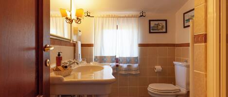 A bathroom with a sink, mirror, and toilet.