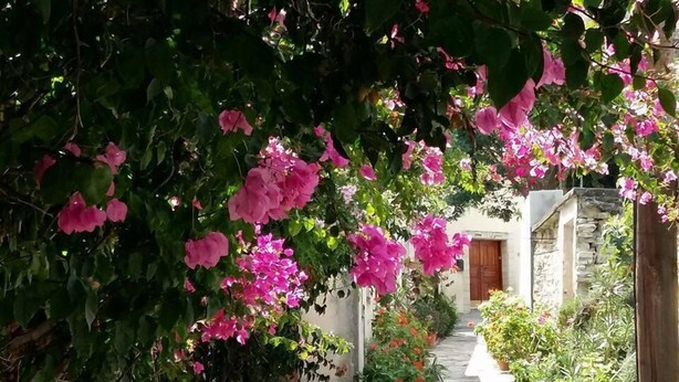 A stone pathway flanked by lush greenery and pink flowers, leading to a traditional building with a wooden door.