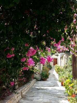 A stone pathway flanked by lush greenery and pink flowers, leading to a traditional building with a wooden door.