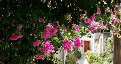 Romios Holiday Apartments