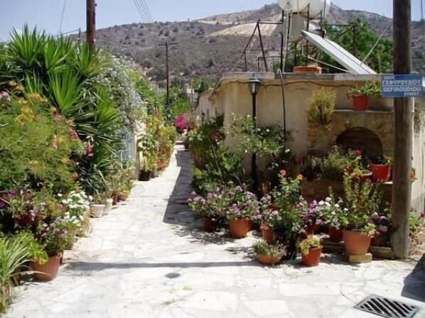 A narrow stone pathway flanked by potted plants and a building with a sign.