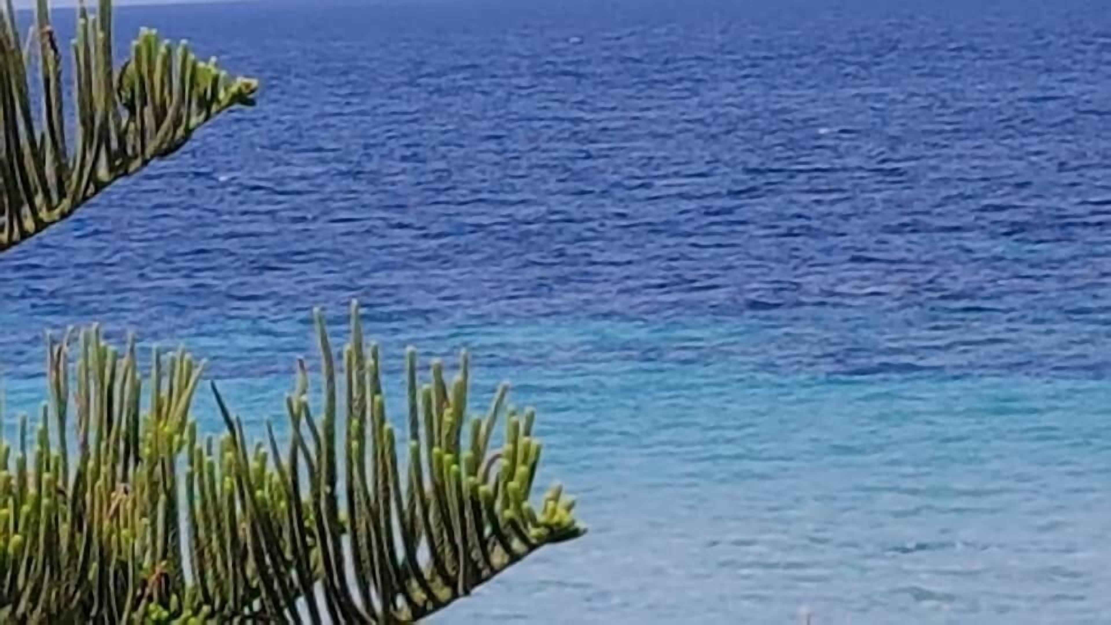 A view of the ocean with a clear sky.