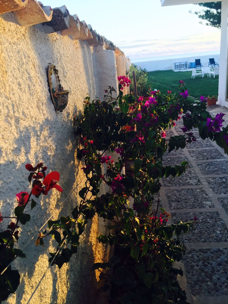 Un muro de piedra con una planta en maceta y un adorno metálico.
