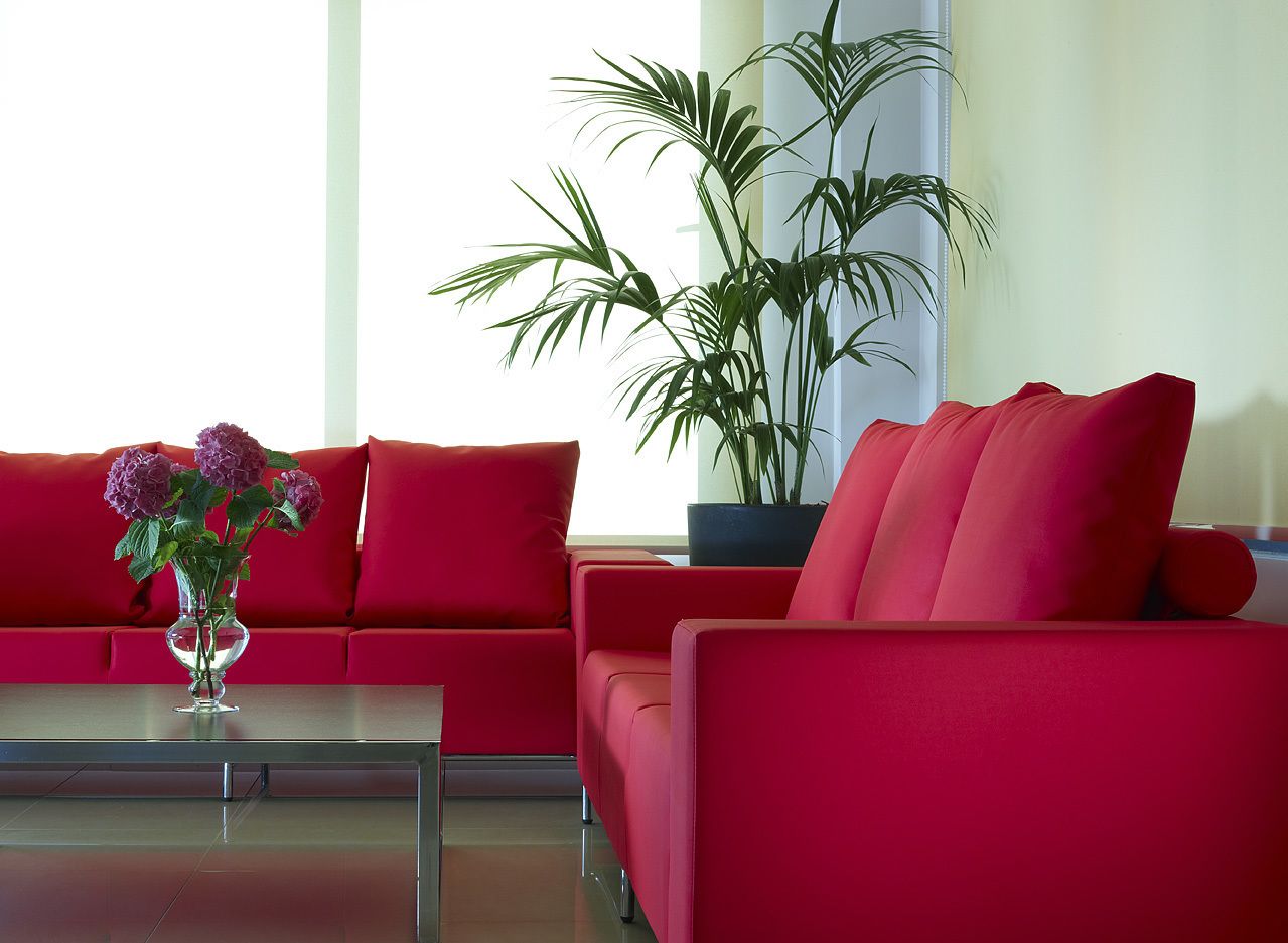 A modern living room with red sofas, a glass coffee table, and a potted plant.