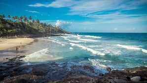 Una playa con primer plano rocoso, cielo azul despejado y palmeras.