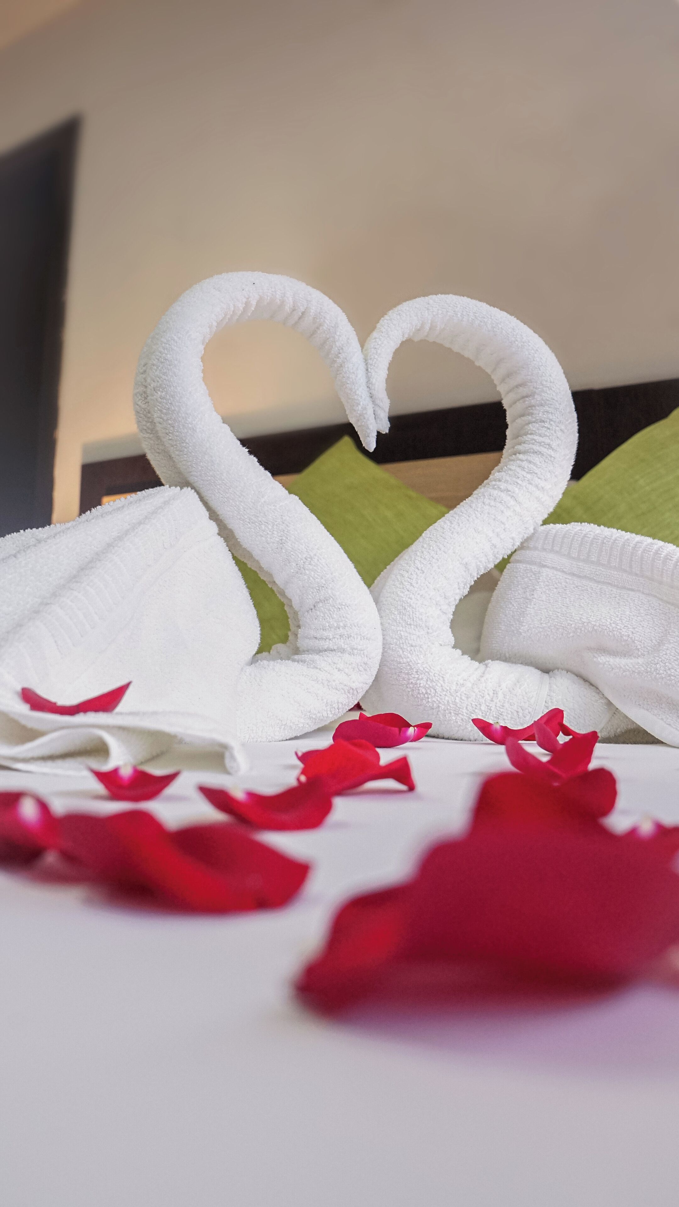 Foto - Hotel MC Suites - Confort cerca del Aeropuerto