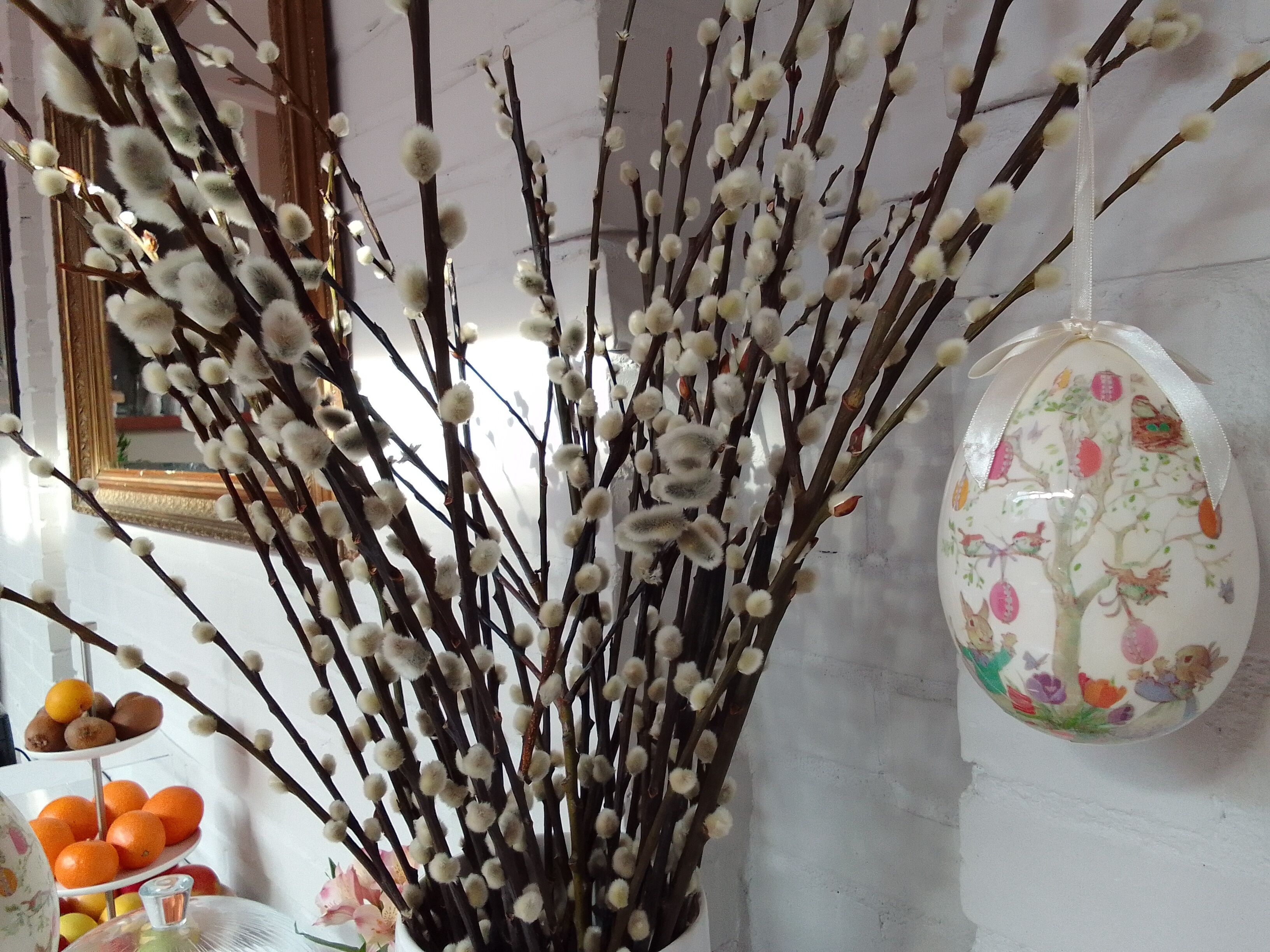 Una rama con delicadas flores blancas, un plato decorativo con motivos florales y una exposición de frutas.