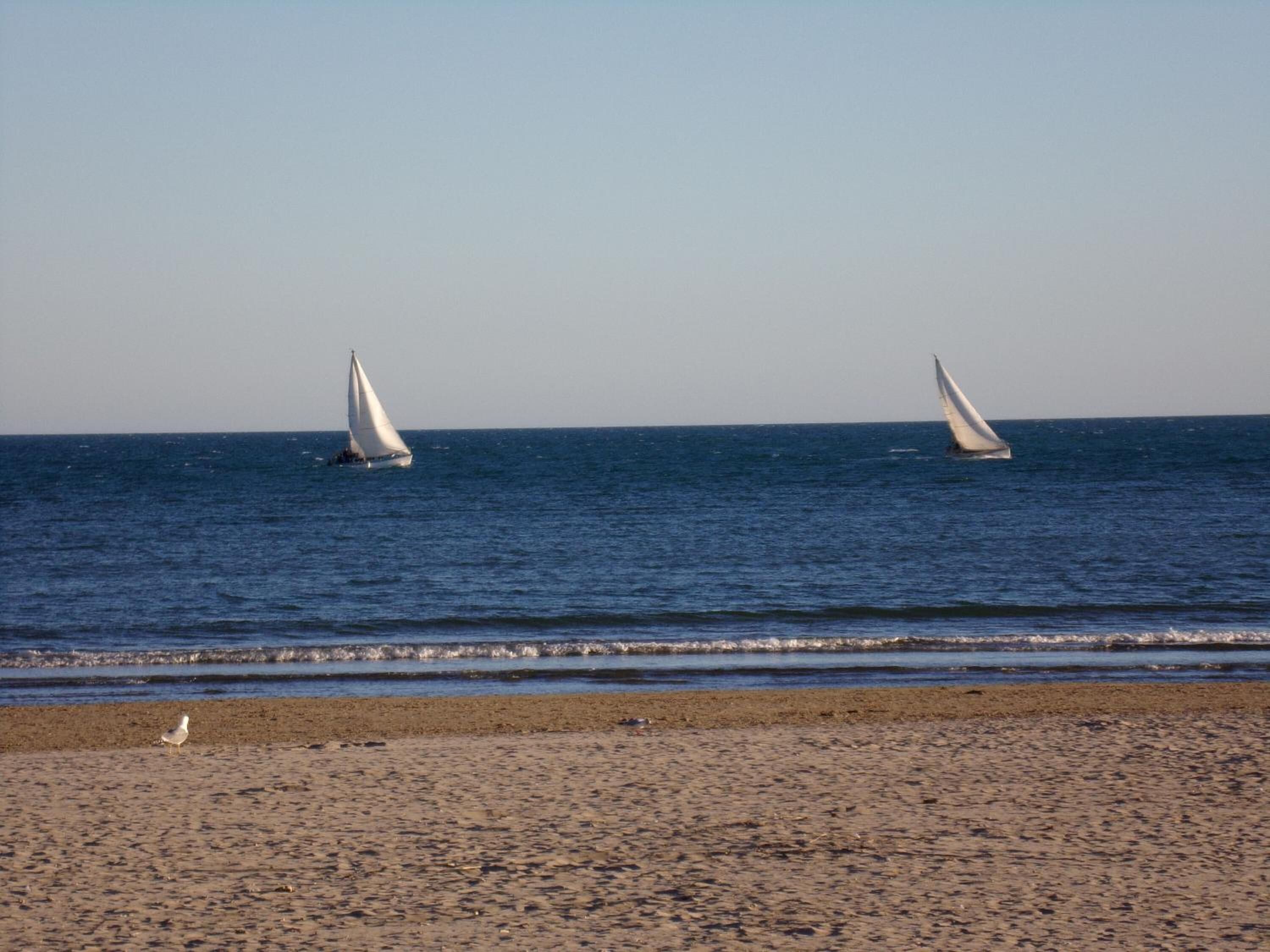 A beach with two sailboats on the water and a seagull on the sand.