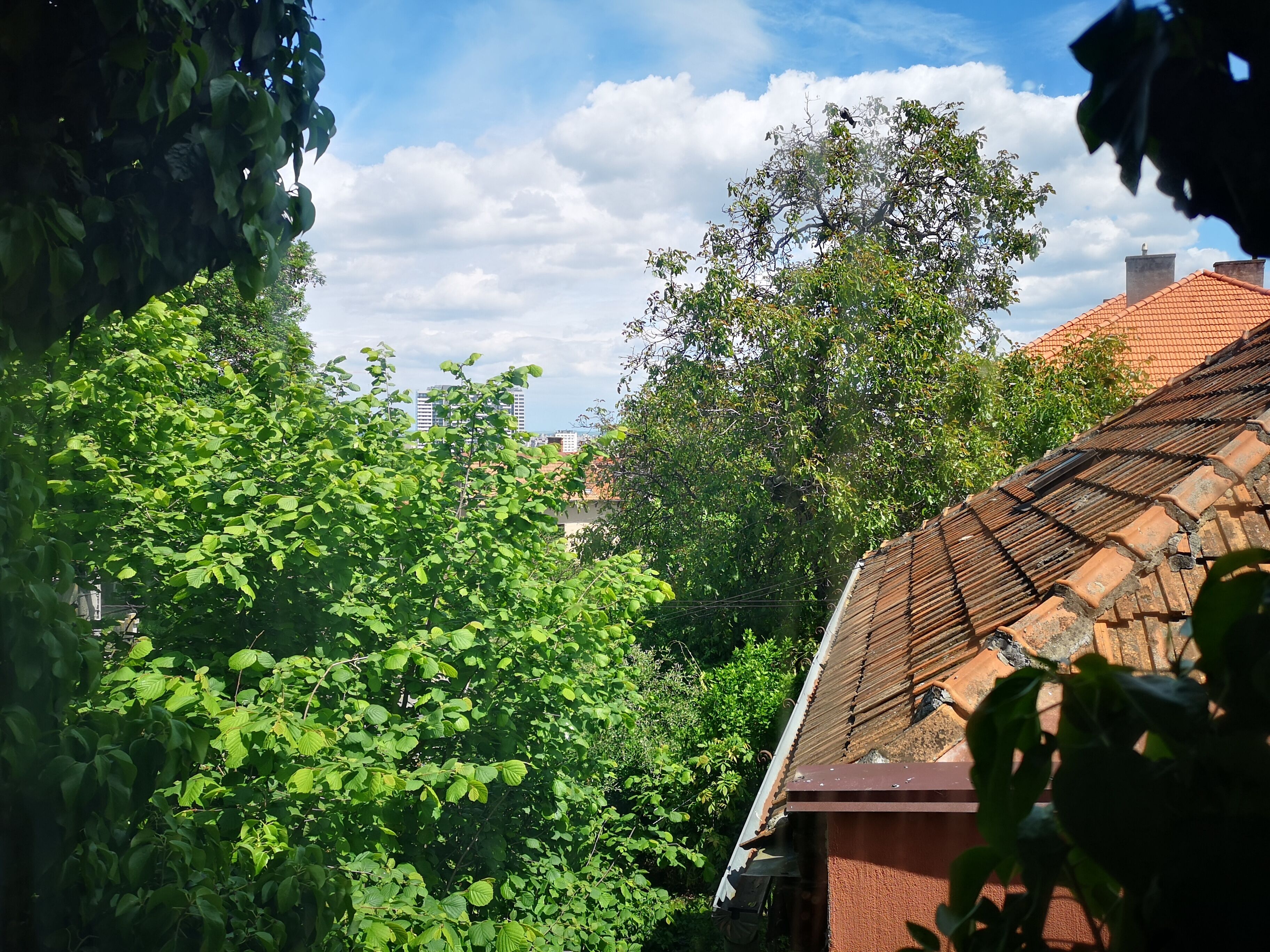 A view of a residential area with a house featuring a tiled roof and dense green foliage.
