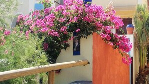 A building with a stone staircase, pink bougainvillea, and a blue vase on the railing. - Argonaftes (Santorini)