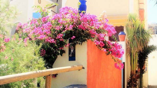 A building with a stone wall, a wooden railing, and a staircase leading to a door with a blue vase. - Argonaftes (Santorini)