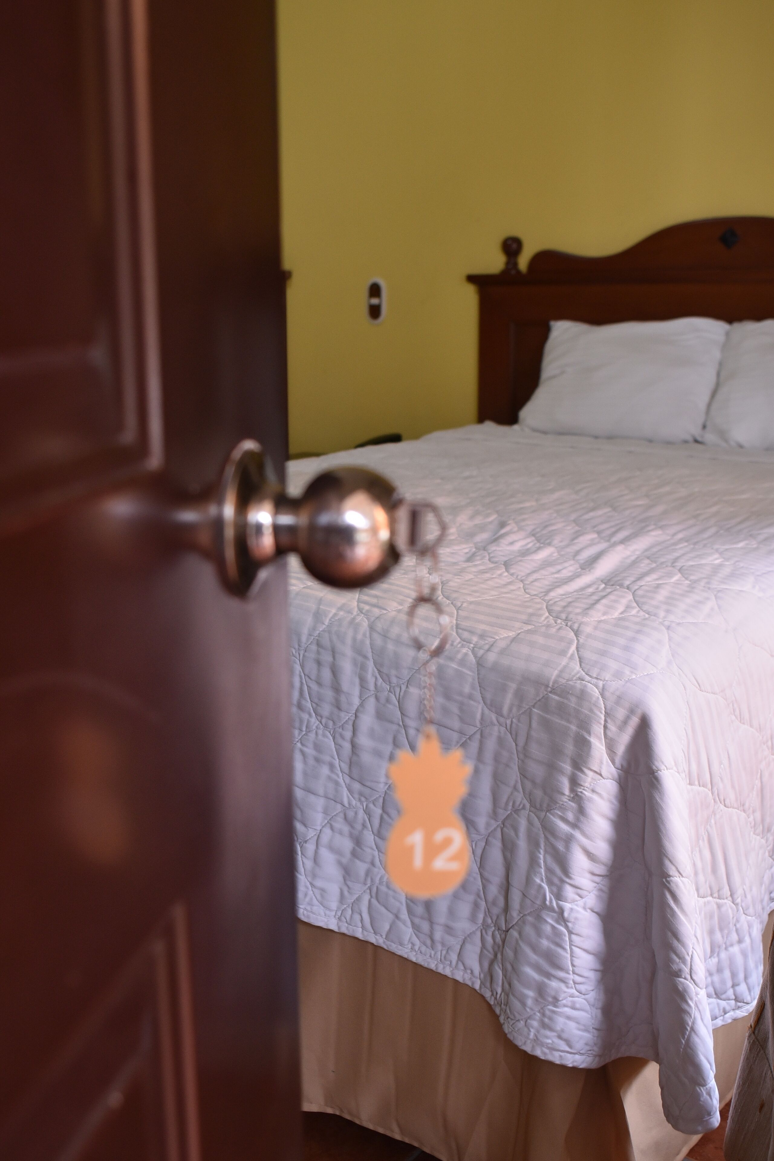 Photo - Hotel Villa Terra