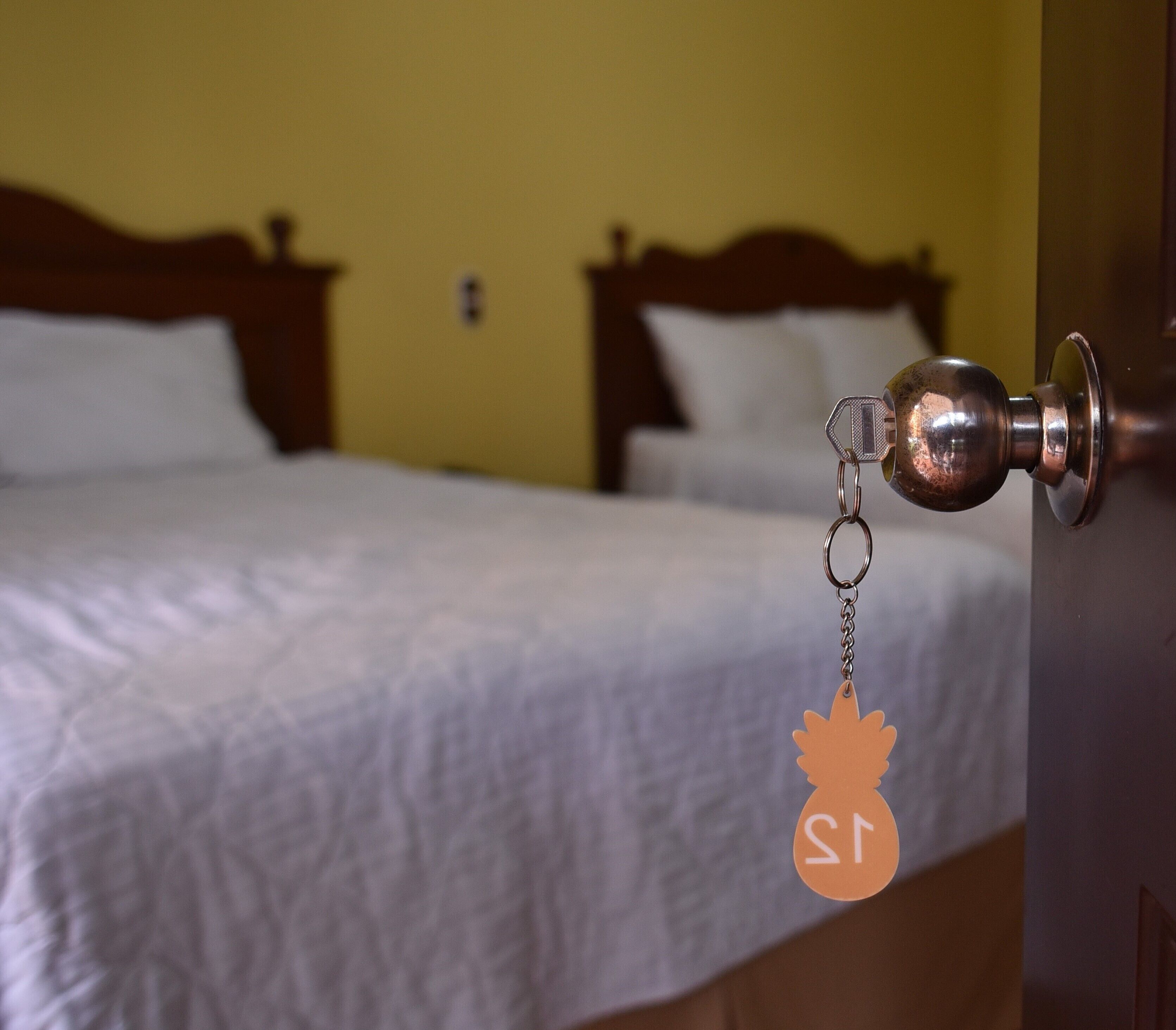 Foto - Hotel Villa Terra