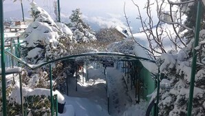 Un camí cobert de neu que condueix a un edifici amb teulada verda, envoltat d'arbres carregats de neu i un cel serè.