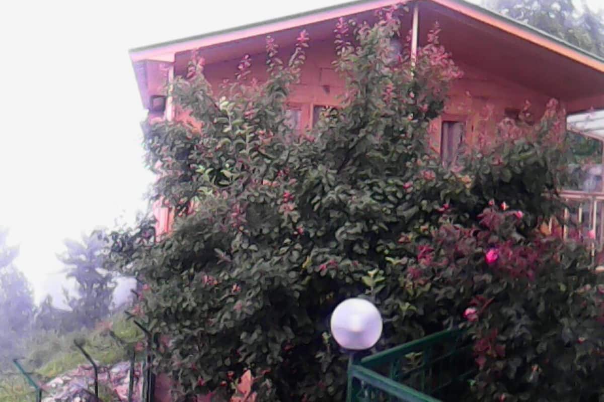 Área da propriedade