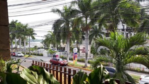 Vista de la calle con un coche rojo estacionado al lado, palmeras y un edificio con un letrero que dice "CROWNE".