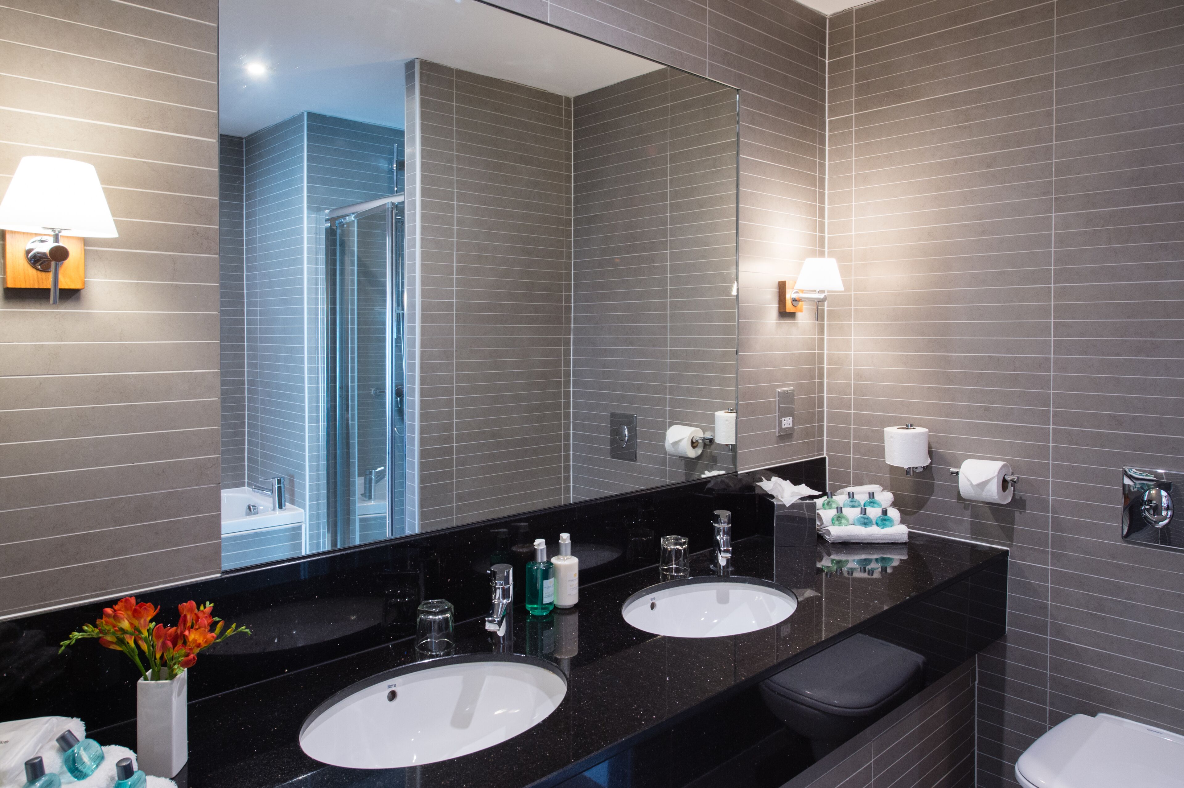 Suite | Bagno | Set di cortesia gratuito, accappatoio, asciugamani