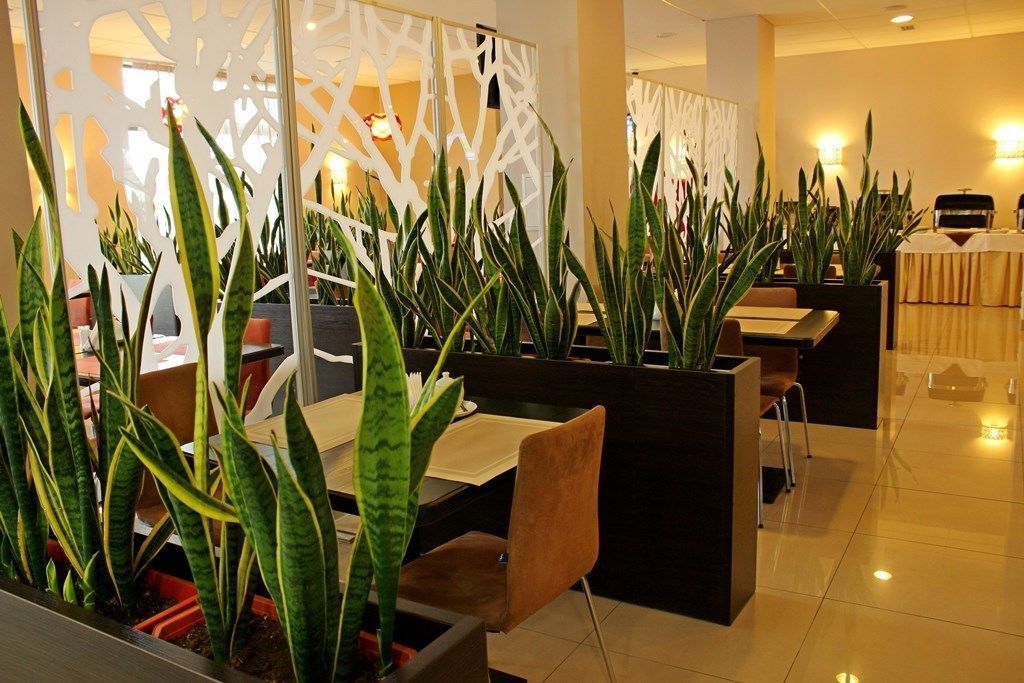 A modern hotel lobby with a seating area featuring long green plants, a decorative partition, and a buffet setup.
