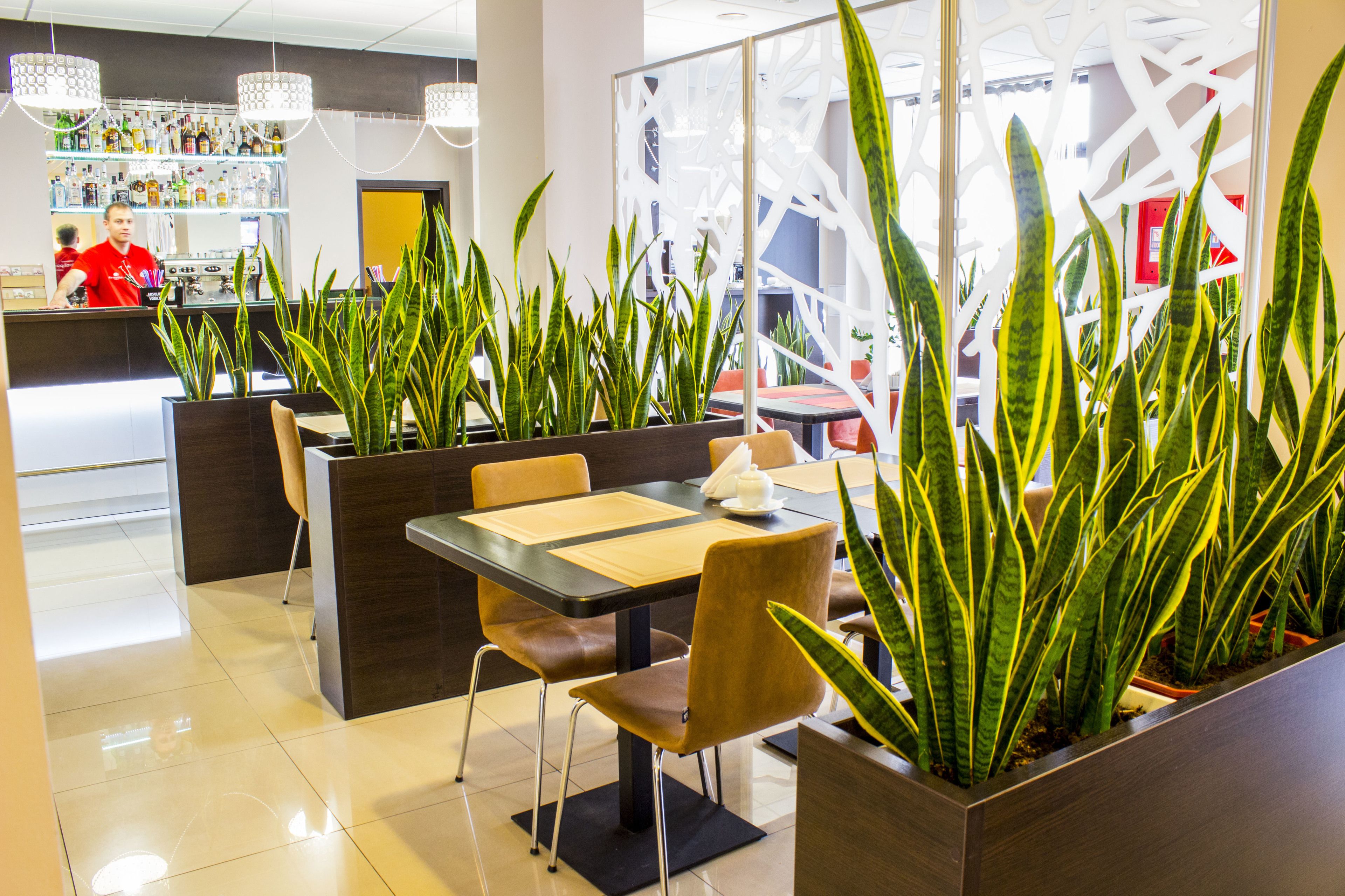 Breakfast, lunch served; Eastern European cuisine, alfresco dining 