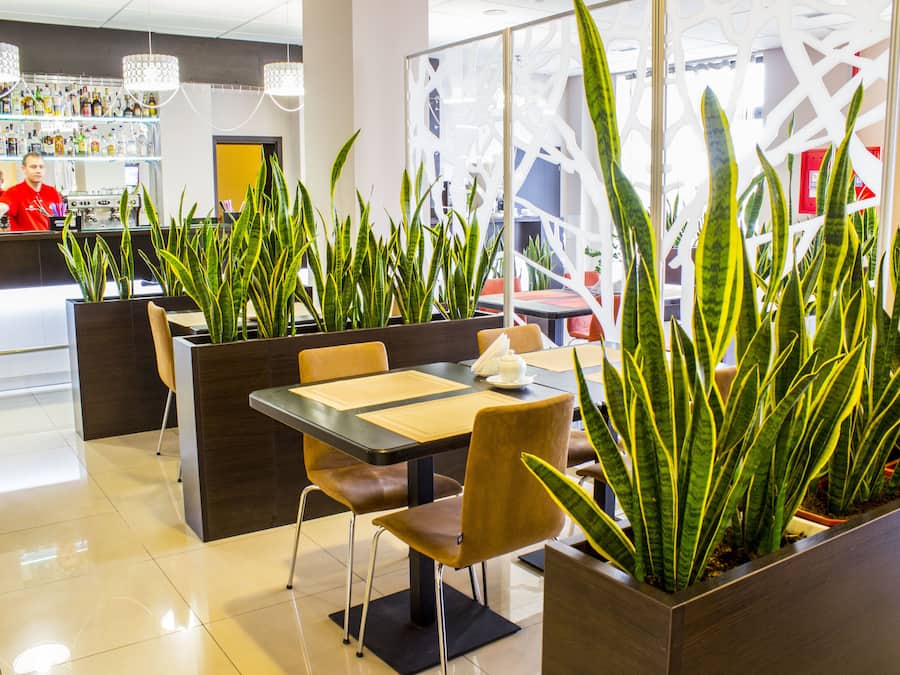 Breakfast, lunch served; Eastern European cuisine, alfresco dining