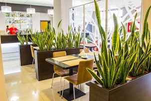 Se sirven desayunos y almuerzos, restaurante con mesas al aire libre