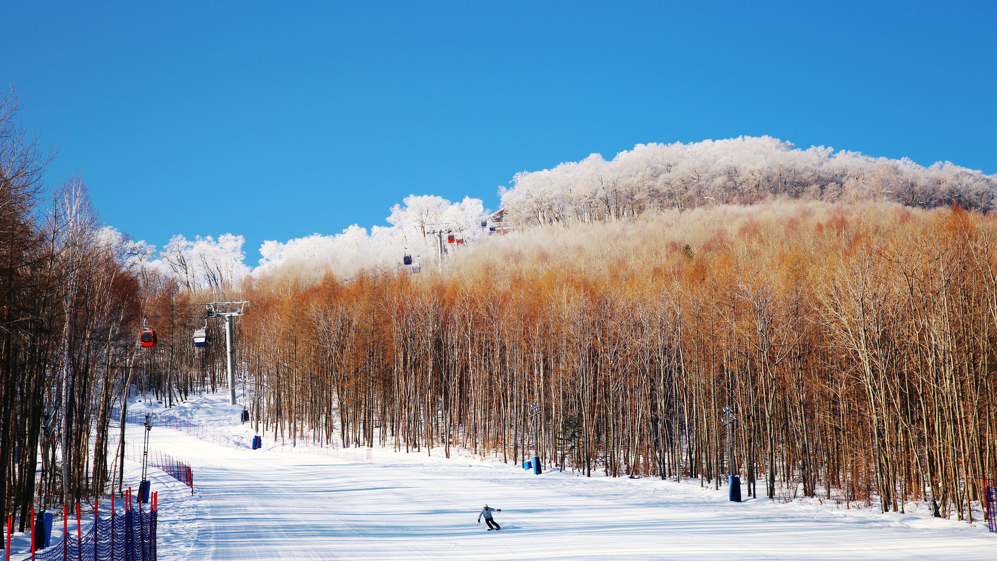 滑雪运动