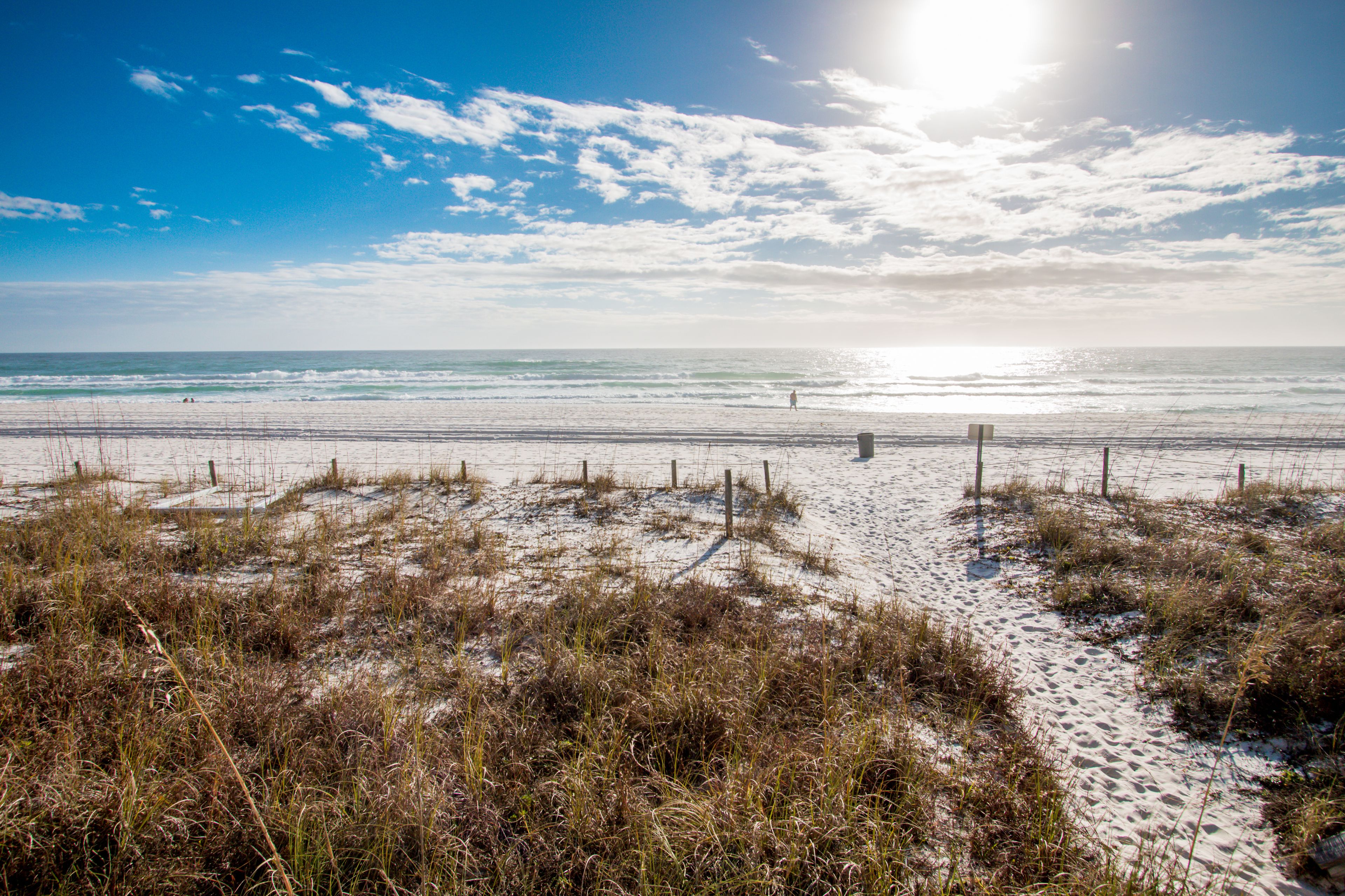 Une plage de sable avec une végétation clairsemée et un ciel dégagé.