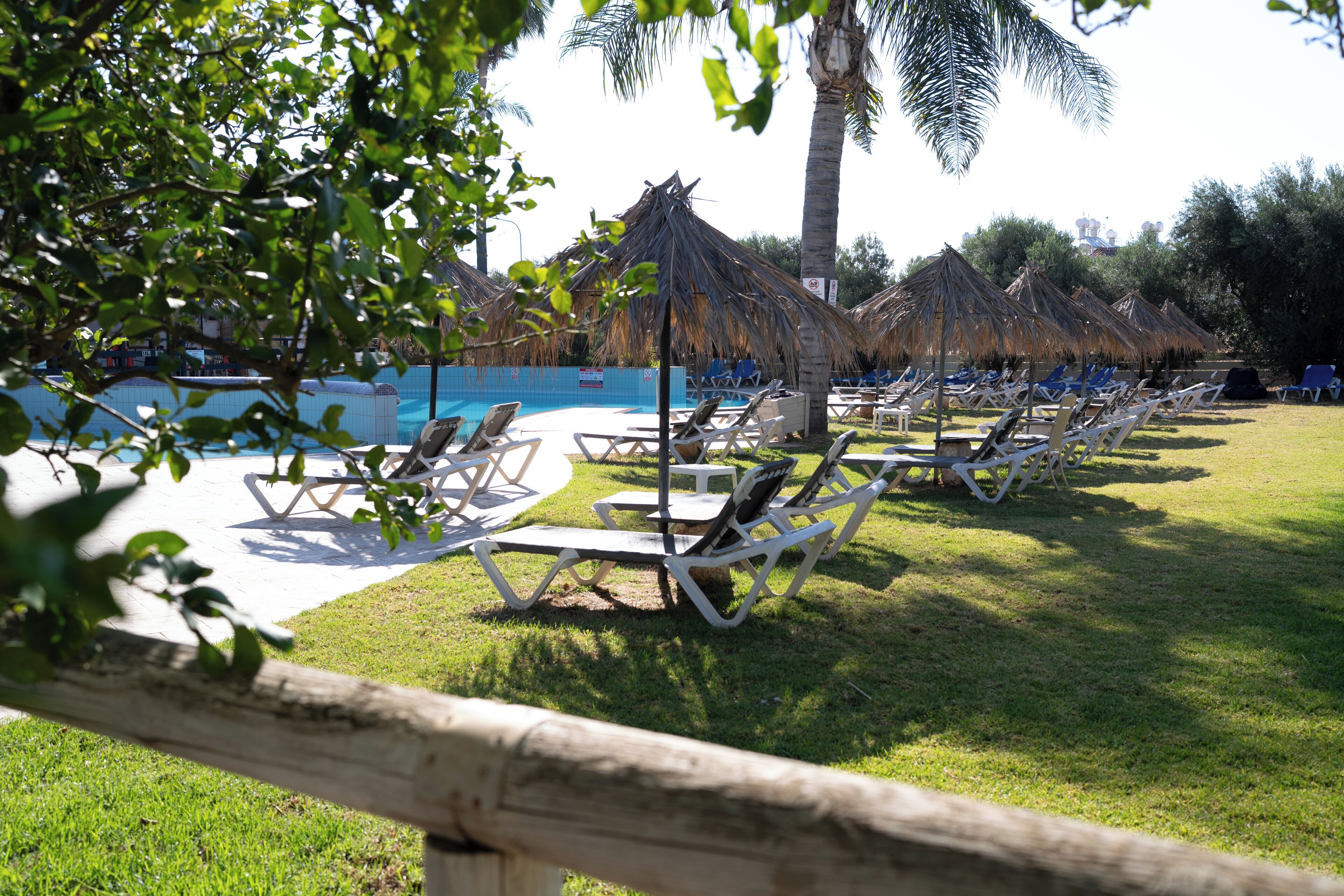 A poolside area with sun loungers and thatched umbrellas, surrounded by greenery.