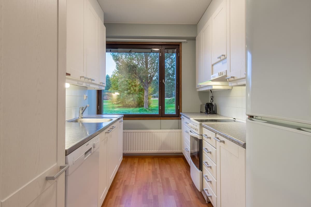 one bedroom apartment with sauna (annex building) | private kitchen | electric kettle