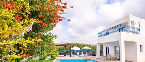 야외 수영장, 수영장 파라솔, 일광욕 의자