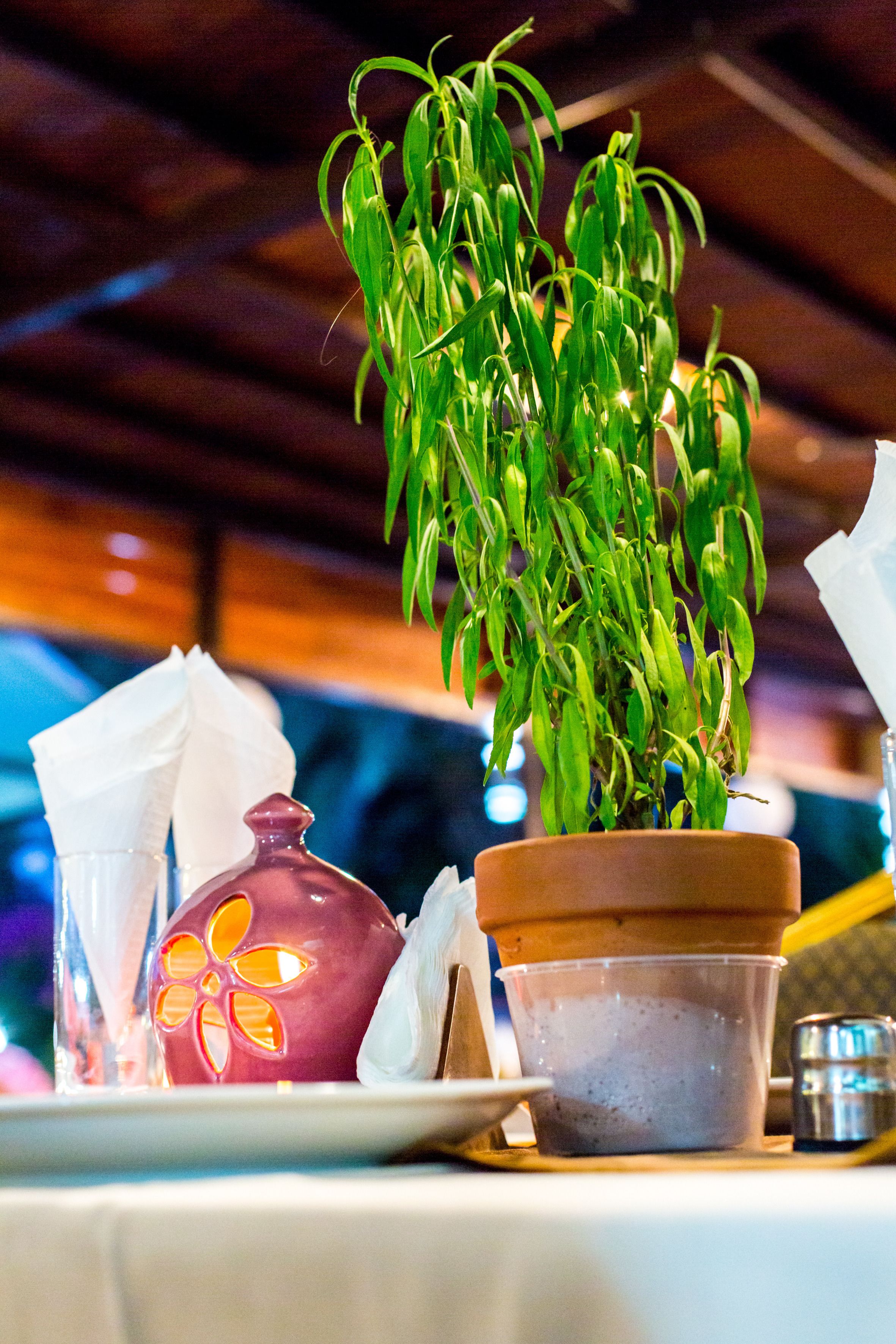 breakfast, lunch, dinner served; international cuisine, pool views